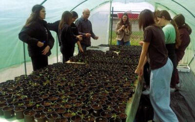 Dan planeta Zemlje u znaku novih zelenih početaka