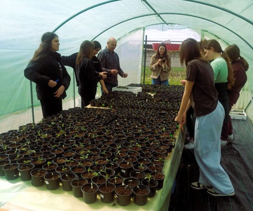 Dan planeta Zemlje u znaku novih zelenih početaka