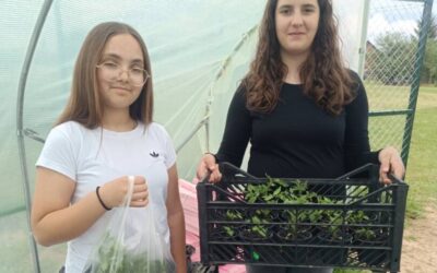 Od plastenika do buvljaka – vrijedne ruke naše zadruge ne miruju