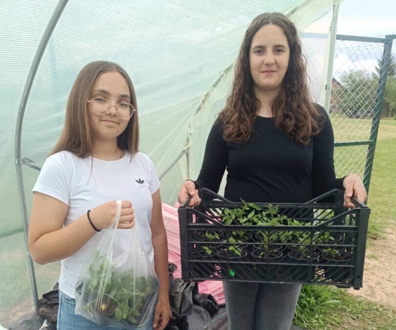 Od plastenika do buvljaka – vrijedne ruke naše zadruge ne miruju